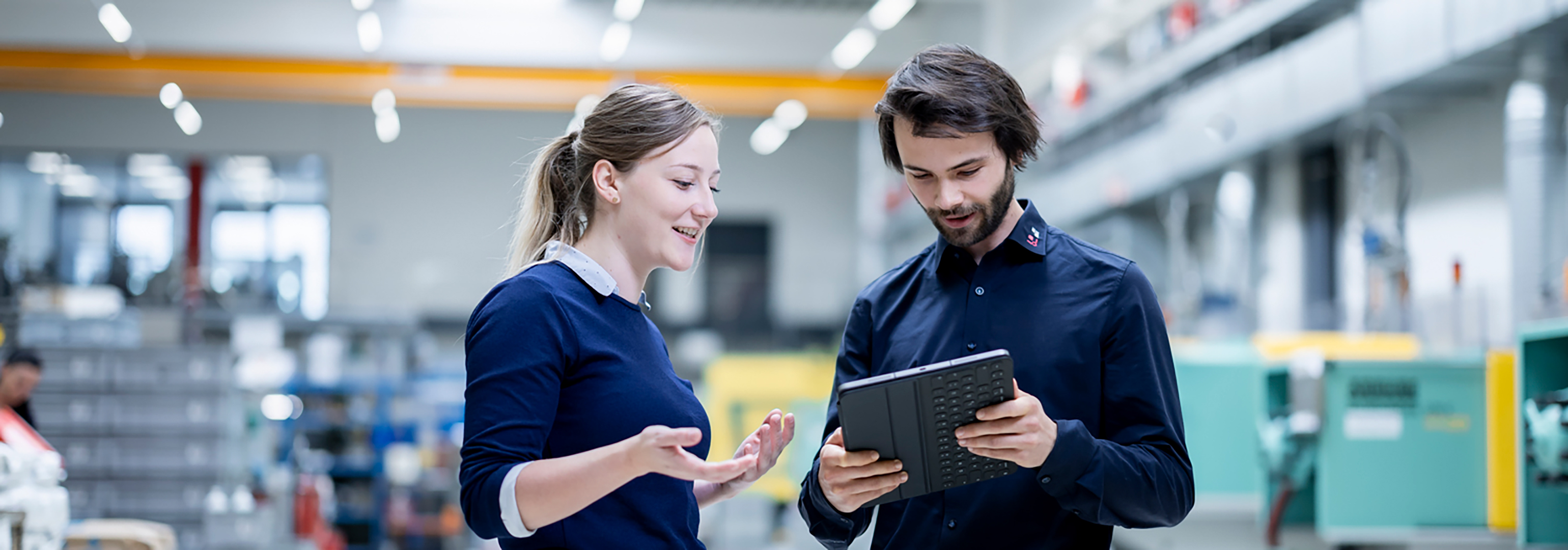 Banner AVS Ing. J.C. Römer GmbH